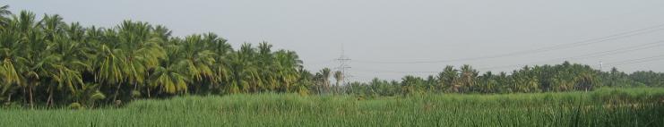 My farm at back home. Taught me everything..